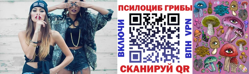 сайты даркнета официальный сайт  Цоци-Юрт  Галлюциногенные грибы Psilocybe  ОМГ ОМГ рабочий сайт 