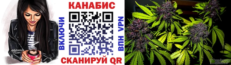 купить наркоту  Цоци-Юрт  дарк нет формула  Бошки марихуана Ganja 